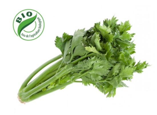 Image de Céleri - (à la botte)