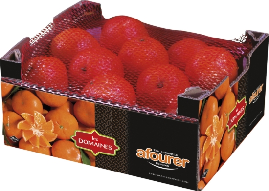 Image de Mandarine Afourer - (2,3 Kg)