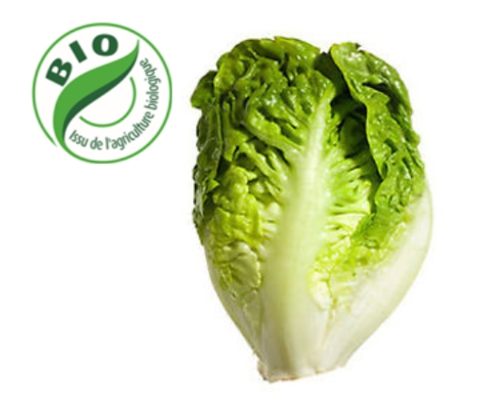 Image de Salade Sucrine - (à l'unité)