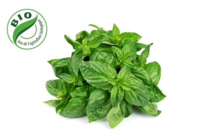 Image de Basilic (à l'unité)
